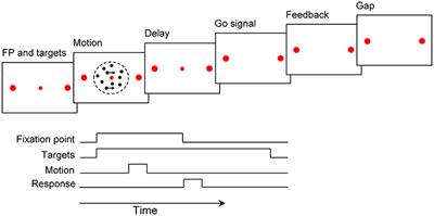 Residual Information of Previous Decision Affects Evidence Accumulation in Current Decision